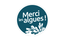 Logo Merci les algues